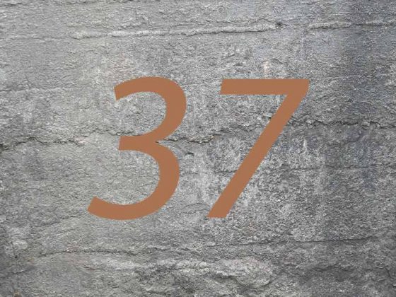 Eine goldene Zahl 37 vor einer grauen Wand aus Beton - Tiny Houses