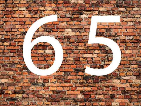 Die Zahl 65 in weiß vor einer Backsteinwand - Rohstoff Holz