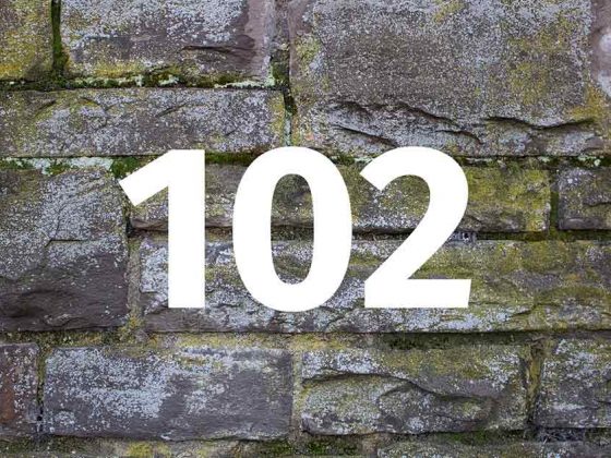 Eine weiße Zahl 102 vor einer Steinwand - Zahl des Monats 102